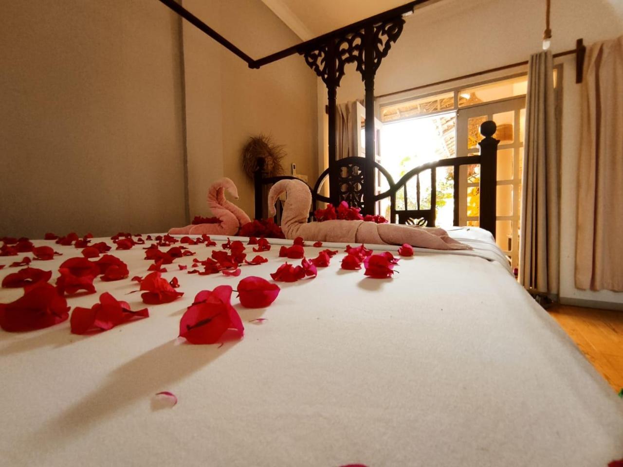 Nungwi Roses Villa Екстериор снимка