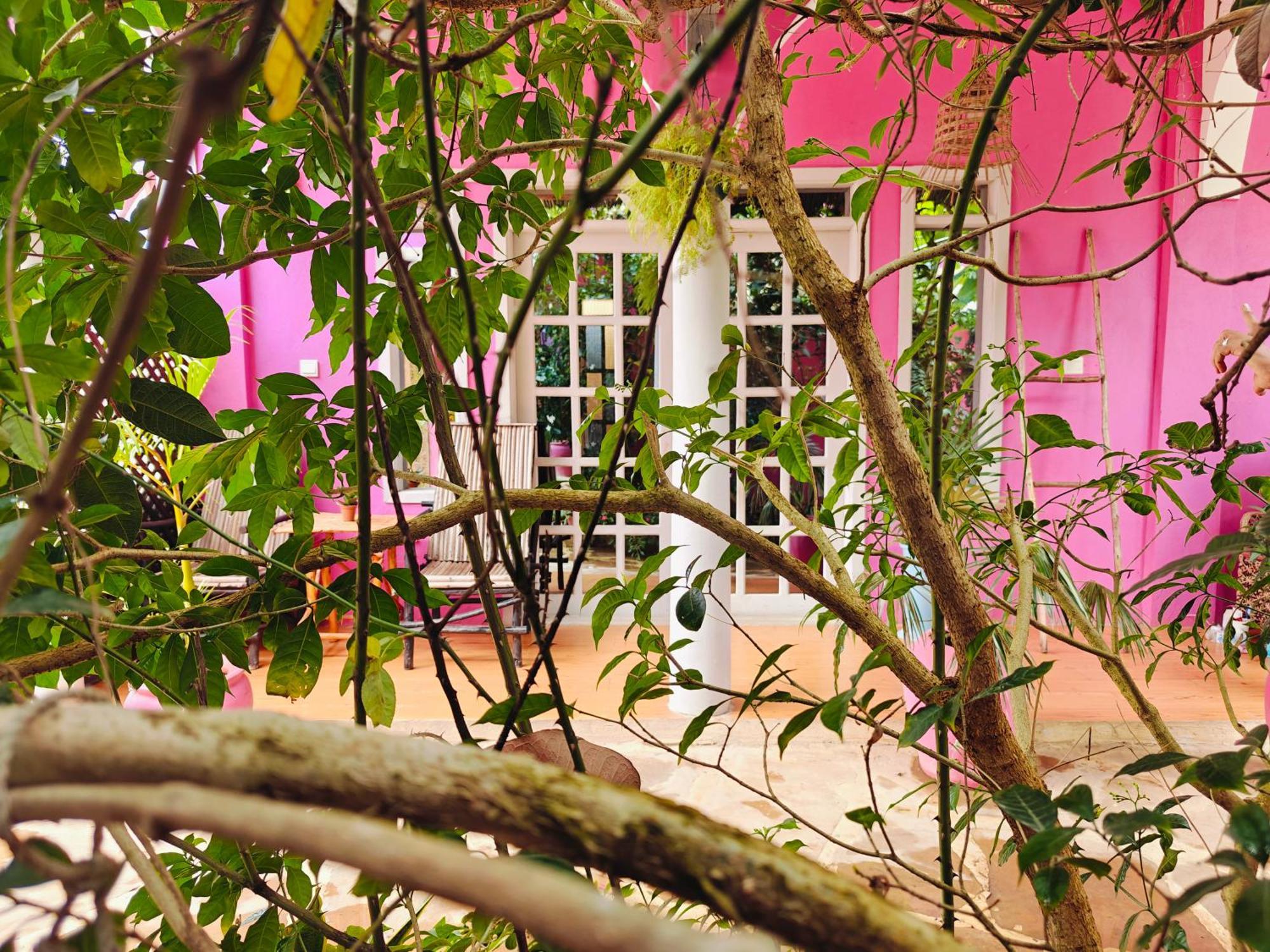 Nungwi Roses Villa Екстериор снимка